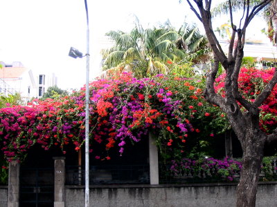 Street scene -10