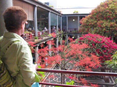 Looking down into courtyard