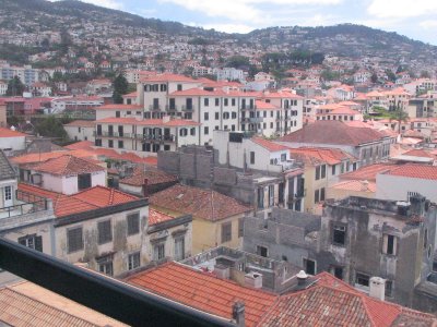 Views from gondola