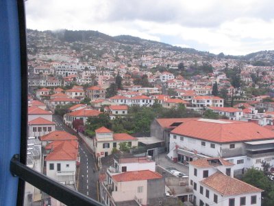 Views from gondola
