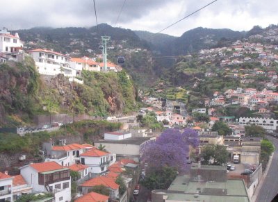 Views from gondola