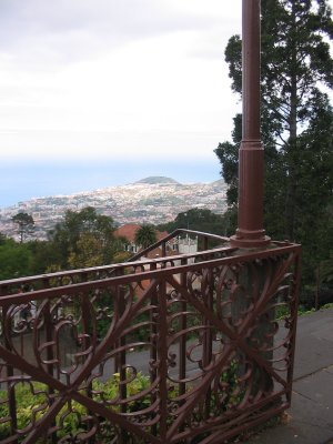 View from Monte