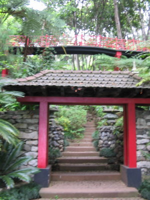 Jardim