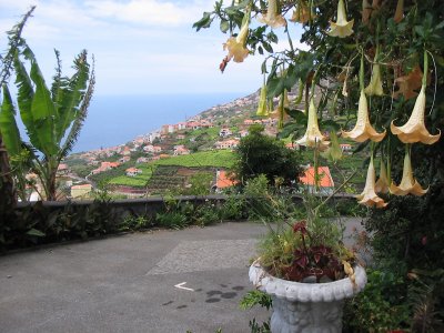 Vila Afonso B & B