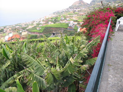 Vila Afonso