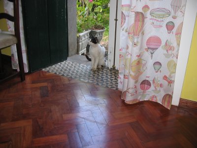 Vila Afonso doorman