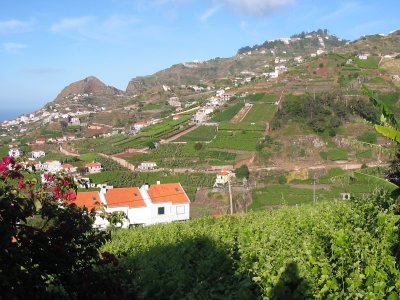 View from Vila Afonso