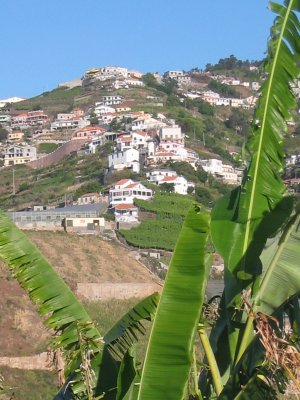 Vila Afonso