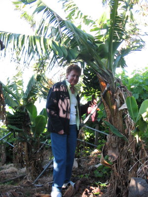 Vila Afonso