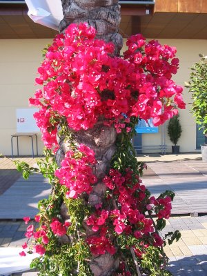 IMG_3060.JPG