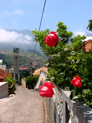IMG_3196.JPG