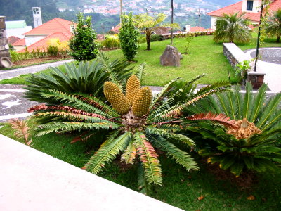 Solar da Bica