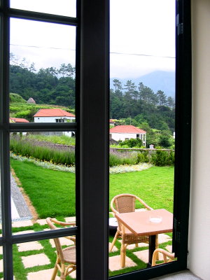 Our window view