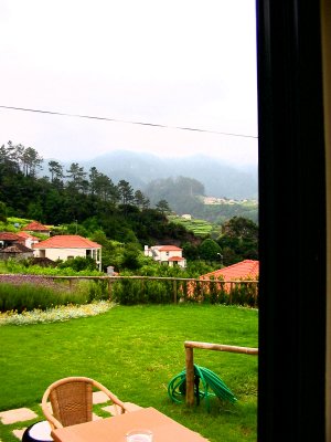 Window view