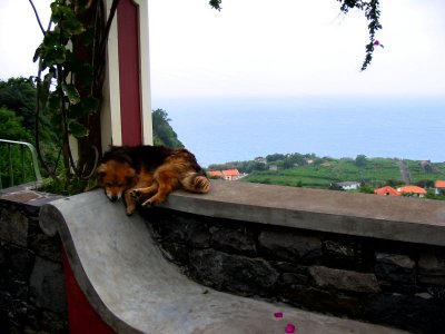 Siesta time