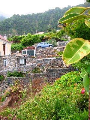 View from garden up to road.
