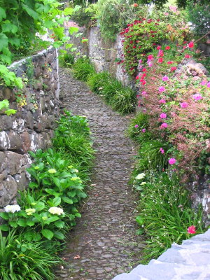 Path from road down to garden