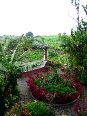 Our room view down to garden