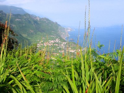Cliffside view down to Arco de Sao Jorge
