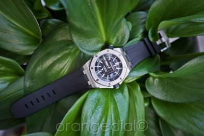 AP Royal Oak Offshore Diver