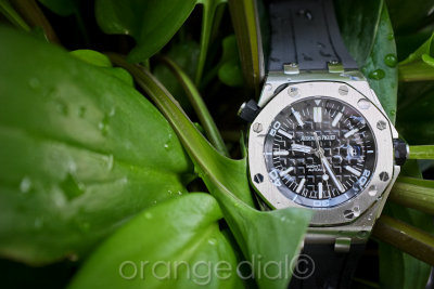 AP Royal Oak Offshore Diver