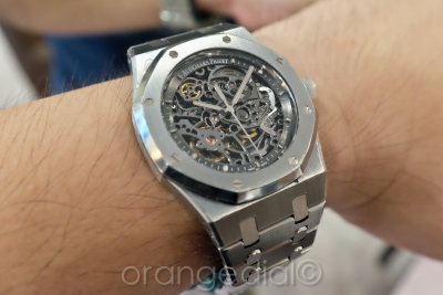 AP RO Skeleton 15305