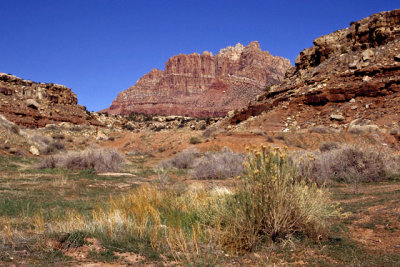 Outside Zion National Park