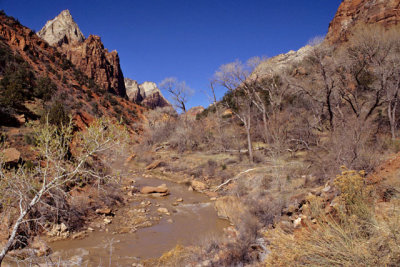 The Virgin River