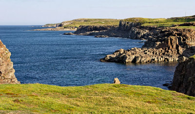 Outside Elliston, on the Bonavista Peninsula