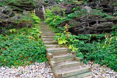 A wooden Staircase