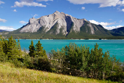 Mount Michener, overlooking Abraham Lake