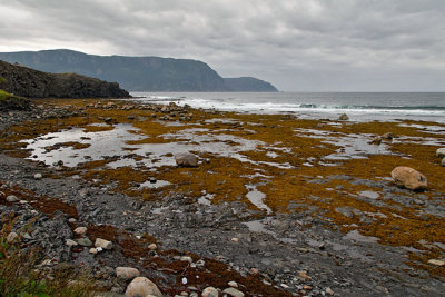 The entrance to Bonne Bay