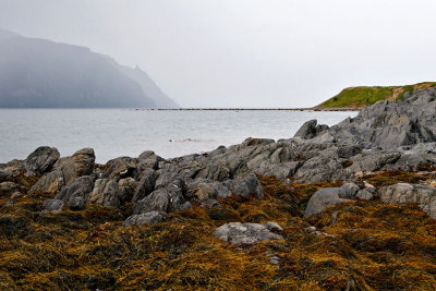 Bonne Bay, from Norris Point