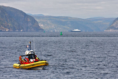 Whale watching off Tadoussac