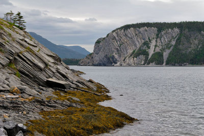 Bonne Bay, from Norris Point