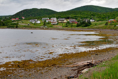 Norris Point