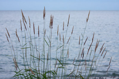 Lake Ontario