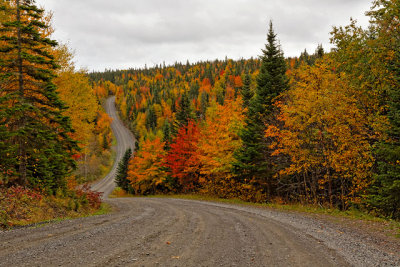 Fall colours on the access road to the Pointe--la-Renomme Lighthouse