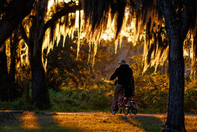 Cycling in Flamingo