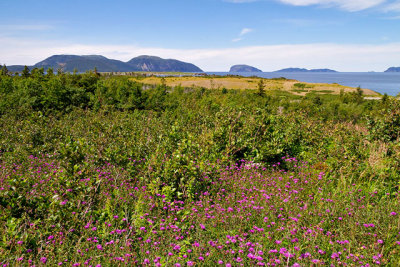 Near the mouth of the Humber Arm, west of Corner Brook