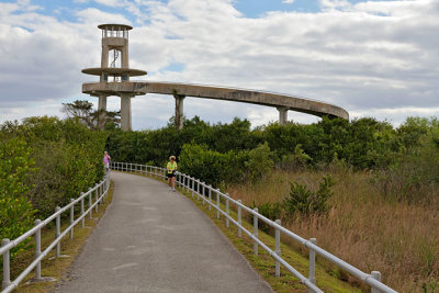 Shark Valley observation tower