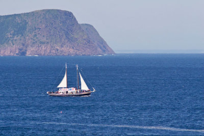 St John's Bay, from Cape Spear