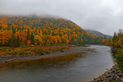 On Route Du Parc de la Gaspsie, also known as Quebec Route 299