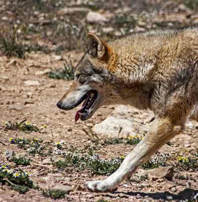 g2/52/950552/3/147557459.AnADXlZa.jpg