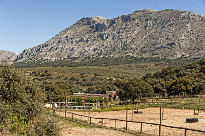 Lobo Parque, Andaluca