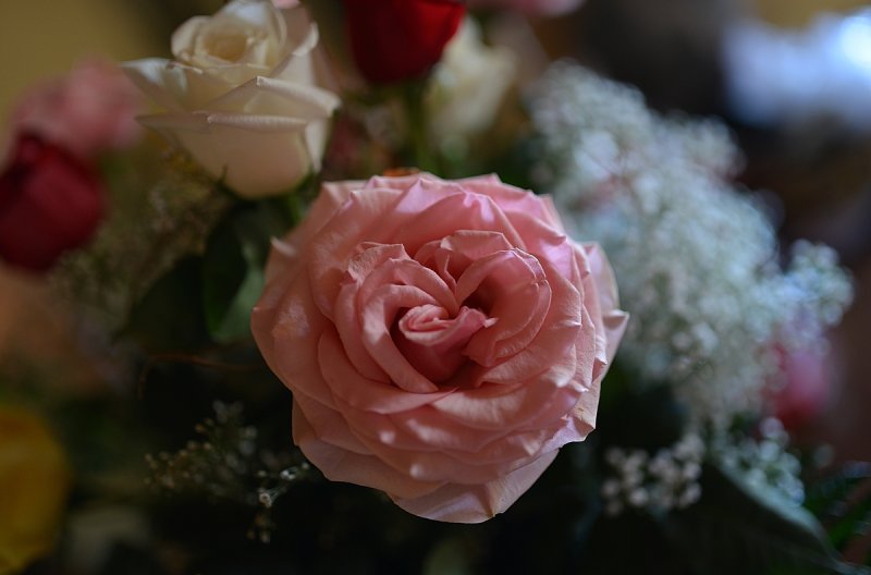 Val Roses3.jpg
