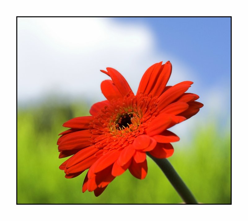 5 September - Brights!
