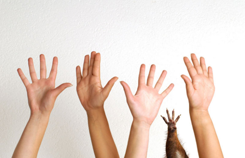 Hands-up.jpg
