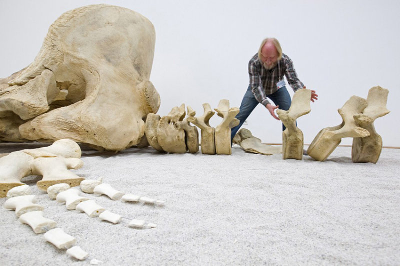 Big-bones-O.jpg