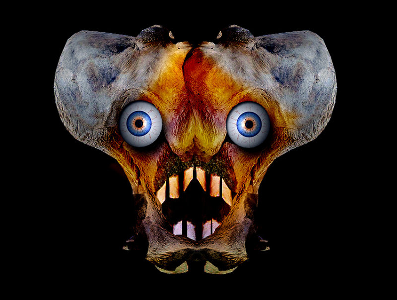 Bone-face.jpg